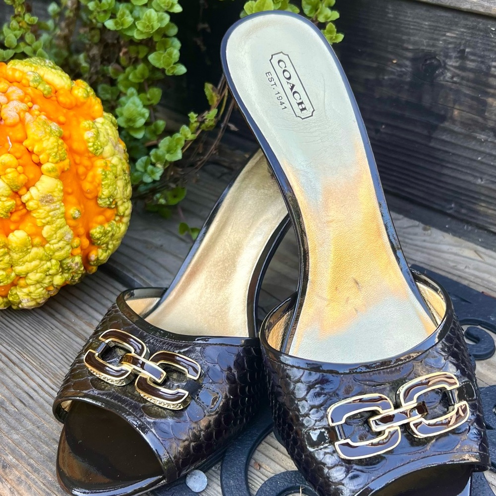 Coach Black Mules with Gold Accents